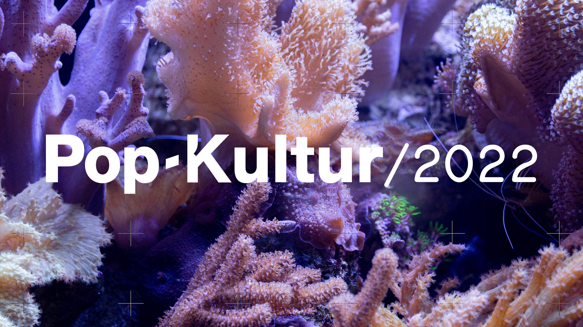 Pop-Kultur 2022 Visual: Lila-, orangefarbene Korallen im Hintergrund, im Vordergrund der Schriftzug Pop-Kultur 2022.