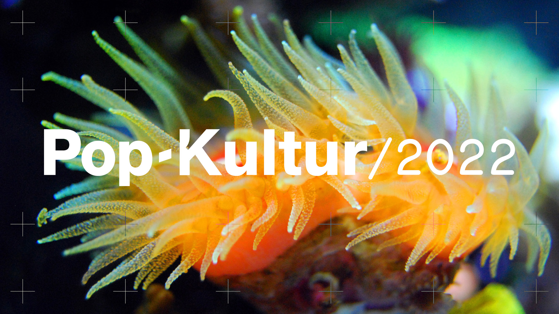 Pop-Kultur 2022 Visual: Einzelne orangefarbene Koralle mit einer Vielzahl an Fühlern im Hintergrund, im Vordergrund der Schriftzug Pop-Kultur 2022.