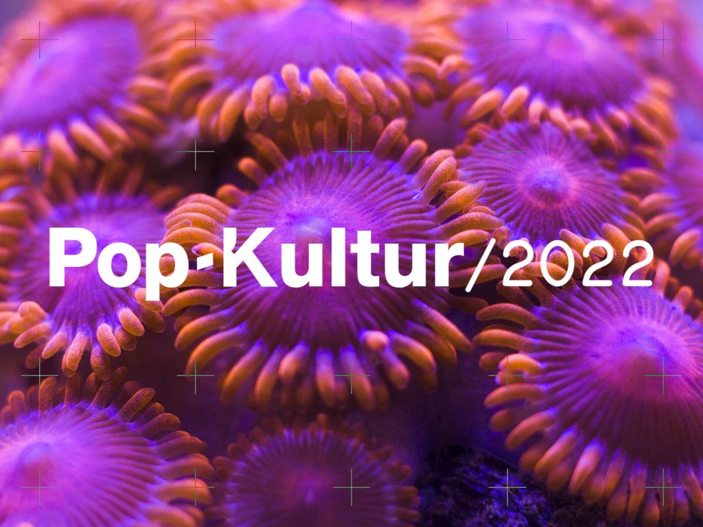 Background, facts and our official statement on the boycott campaign against Pop-Kultur 2022
