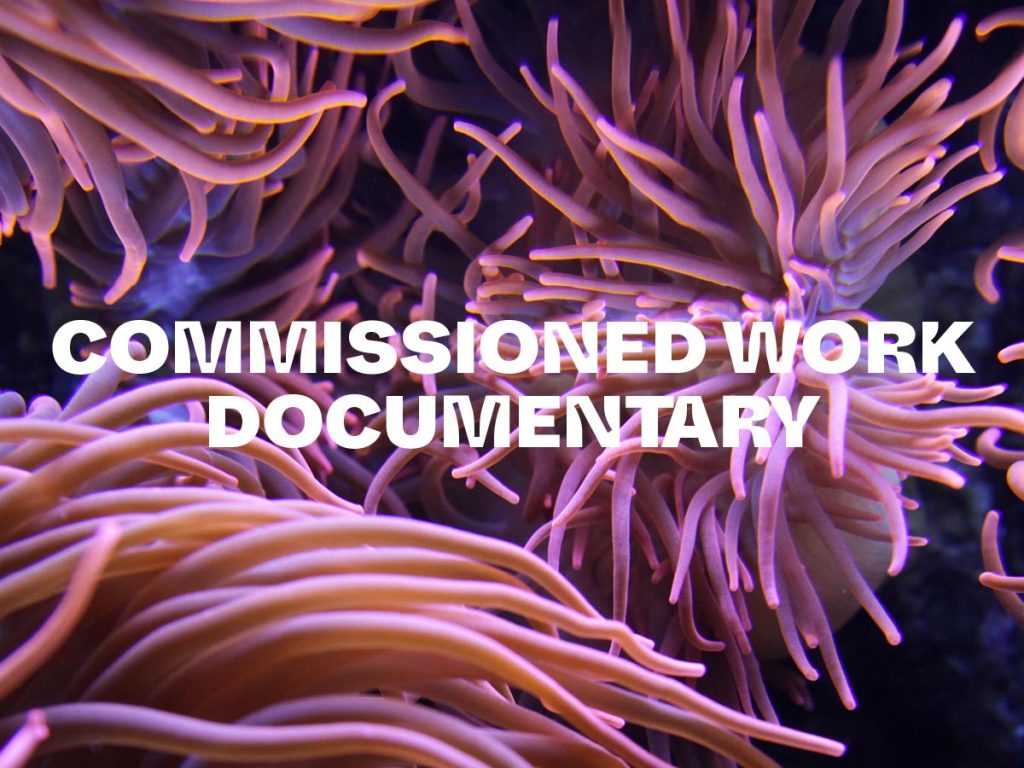 Commissioned Work Documentary