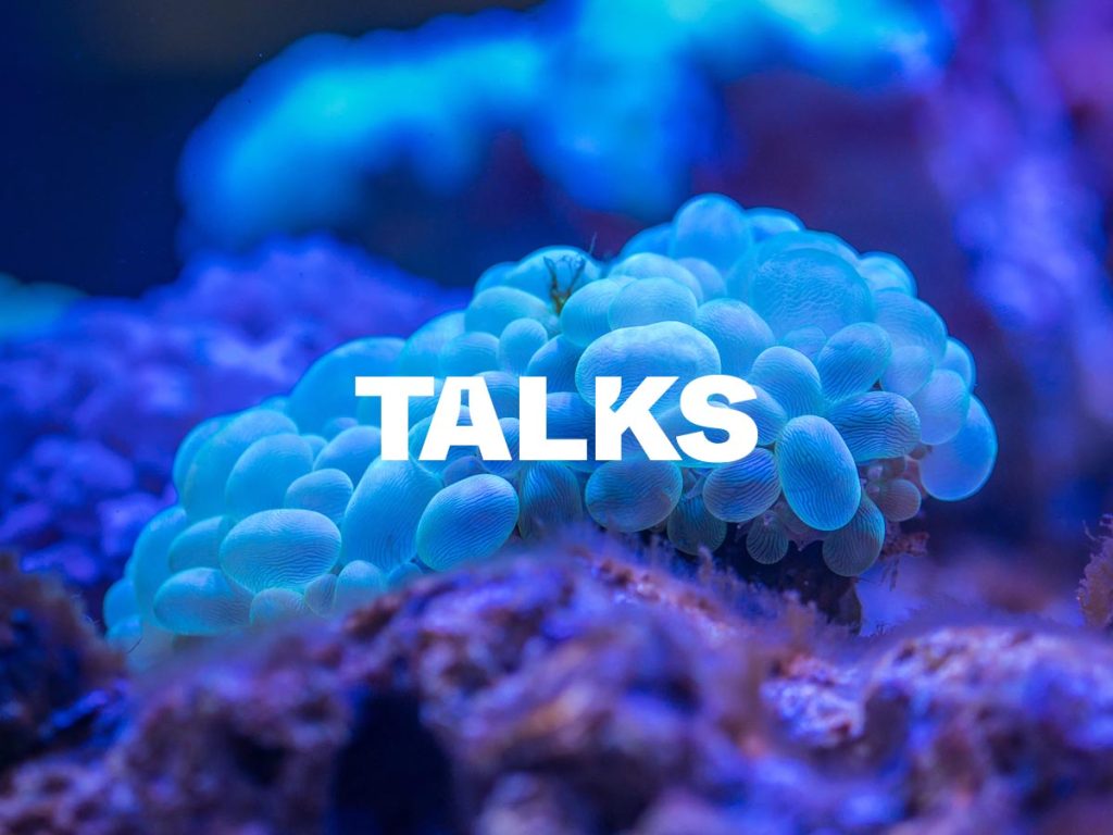 The Talk Videos 2022 are online!